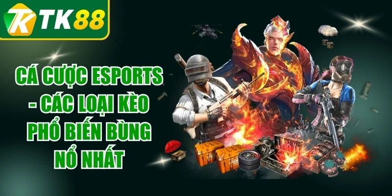 Cá Cược Esports