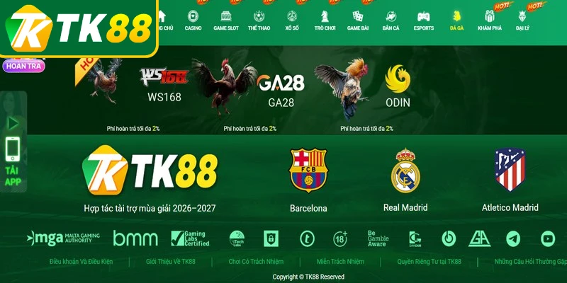 Trải nghiệm các hình thức kê chiến kịch tính tại đá gà TK88 Trải nghiệm các hình thức kê chiến kịch tính tại đá gà TK88